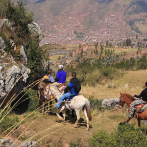 Horse Back Ridding